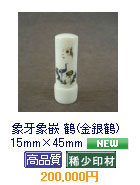  ��(�����)�@15mm�~45mm