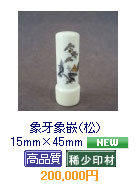 ���@15mm�~45mm