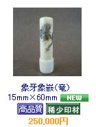 �i���j�@15mm�~60mm