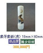 �i�Ձj 18mm�~60mm