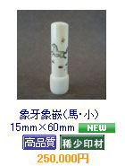 �i�n�E���j�@15mm�~60mm