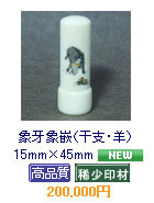 �ۉ�ۛƁi���x�E�r�j 15mm�~45mm