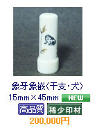 �ۉ�ۛƁi���x�E���j�@15mm�~60mm