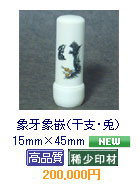  �ۉ�ۛƁi���x�E�e�j�@15mm�~45mm