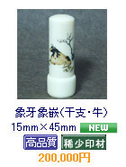 �ۉ�ۛƁi���x�E���j�@15mm�~45mm