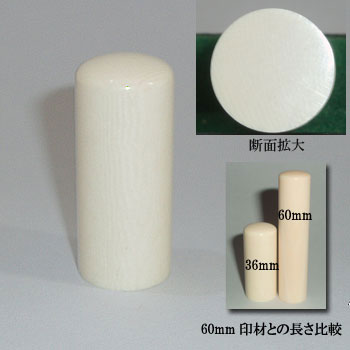 �ۉ�@15mm�~36mm