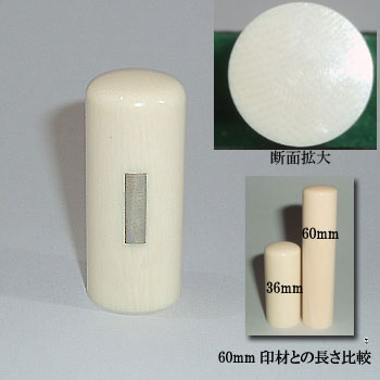 �ۉ�i��O�t�j�@15mm�~36mm